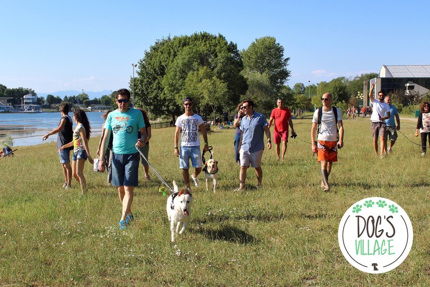 Dog's Village 2018 