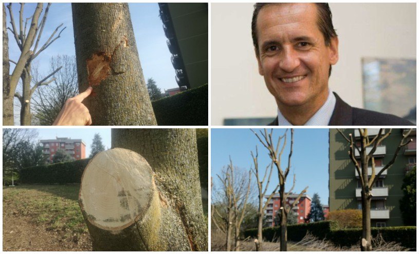In alto a destra il dr. agr. Mario Pria 