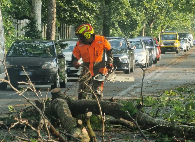 Intervento Protezione Civile per albero caduto sulla Circonvallazione Est Idroscalo 