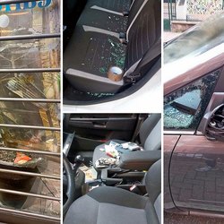 Alcune auto vandalizzate e depredate e una vetrina spaccata a San Donato 