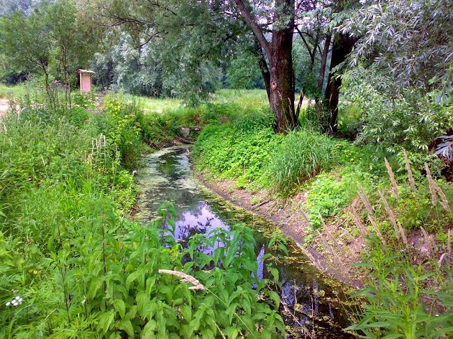 L'oasi Levadina