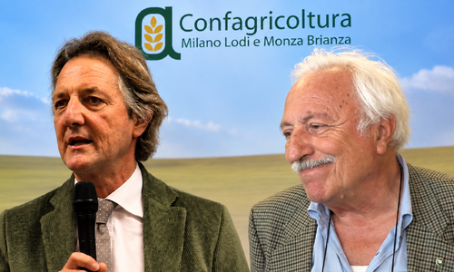 Riso biologico, Confagricoltura interviene sull’inchiesta in Lomellina