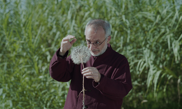 Una scena di «Holy Wood Dust» di Victor Kossakovsky