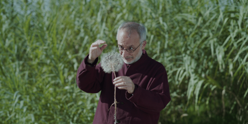 Una scena di «Holy Wood Dust» di Victor Kossakovsky