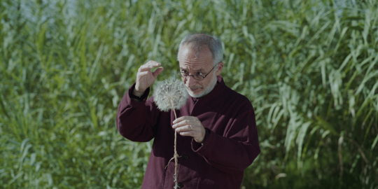 Una scena di «Holy Wood Dust» di Victor Kossakovsky