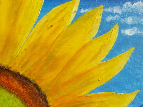 Il girasole 