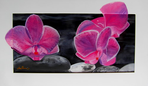 LE ORCHIDEE 
