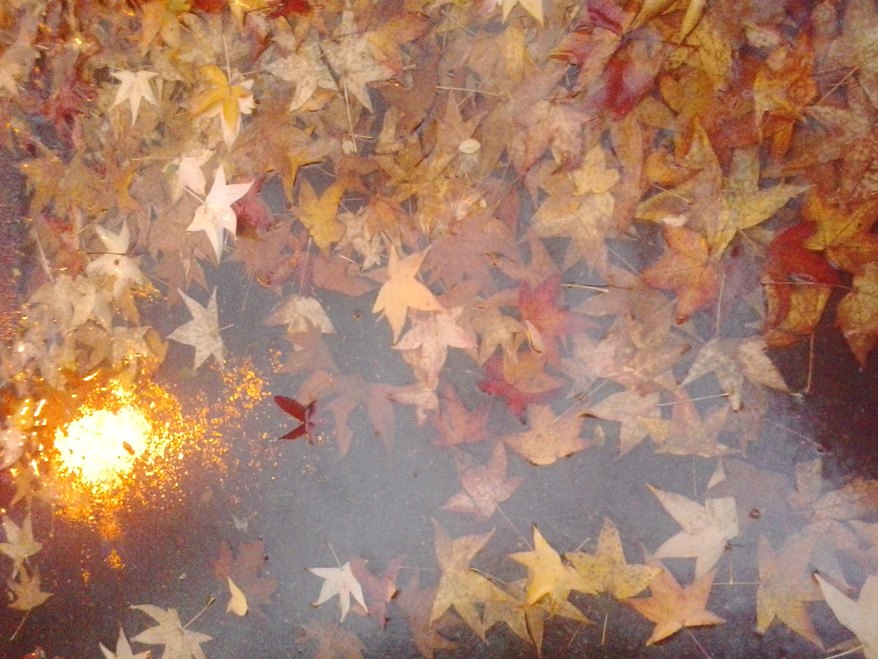 La mia versione dell' Autunno 