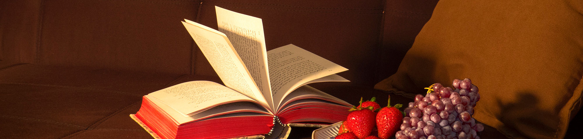 Libri