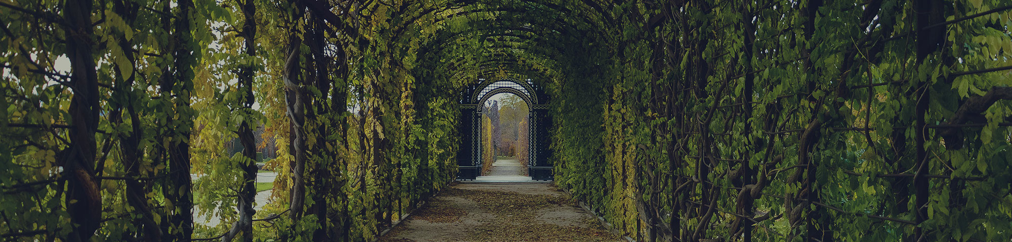 Casa Giardino Fai da te