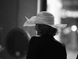 IMG 3657