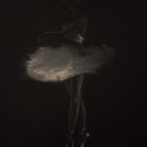 danseur blanc III, pastello bianco su cartoncino 35x50, 2016, Canosso