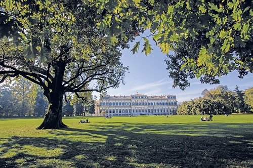 Relax al Parco di Monza. © Comune di Monza