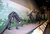visit-museum-natural-history