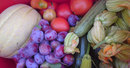 Frutta e Ortaggi Bio