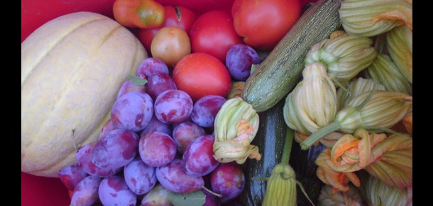 Organic Products 