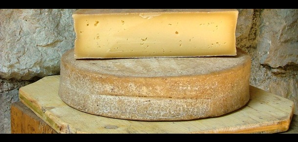 Bitto Cheese from Valtellina 