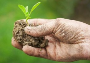 Organic Farming