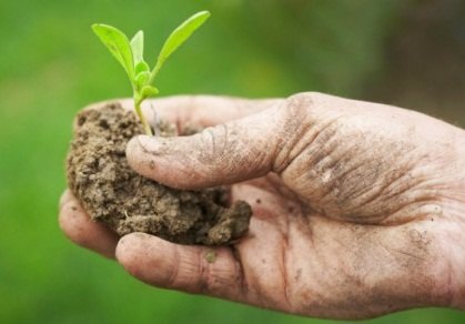 Organic Farming