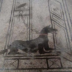 Un'immagine antica che raffigura un cane 