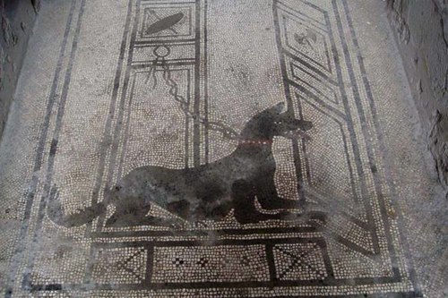 Un'immagine antica che raffigura un cane 