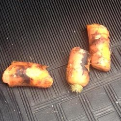 La carota ritrovata nel tubo di scappamento 