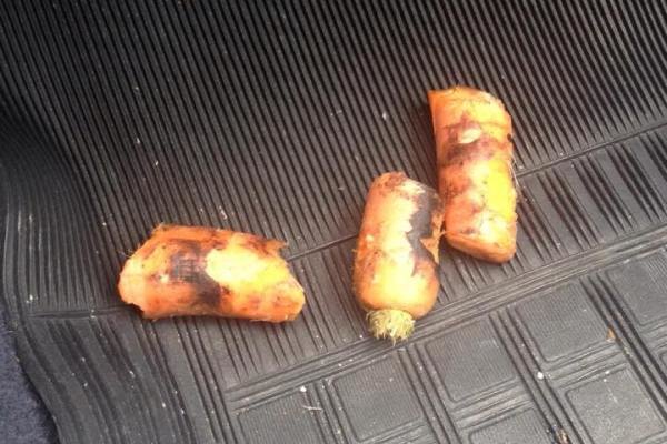 La carota ritrovata nel tubo di scappamento 