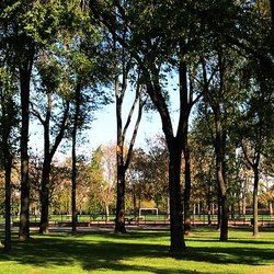 Parco di Trenno, Milano 