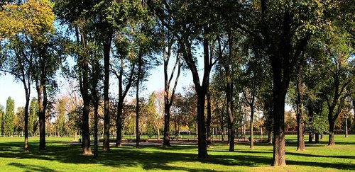 Parco di Trenno, Milano 