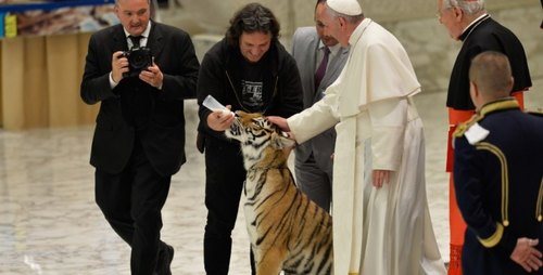 Papa francesco mentre accarezza il cucciolo di tigre 