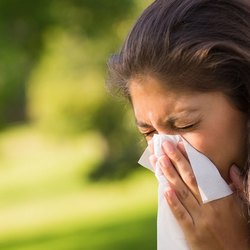 Allergie, fastidiose malattie 