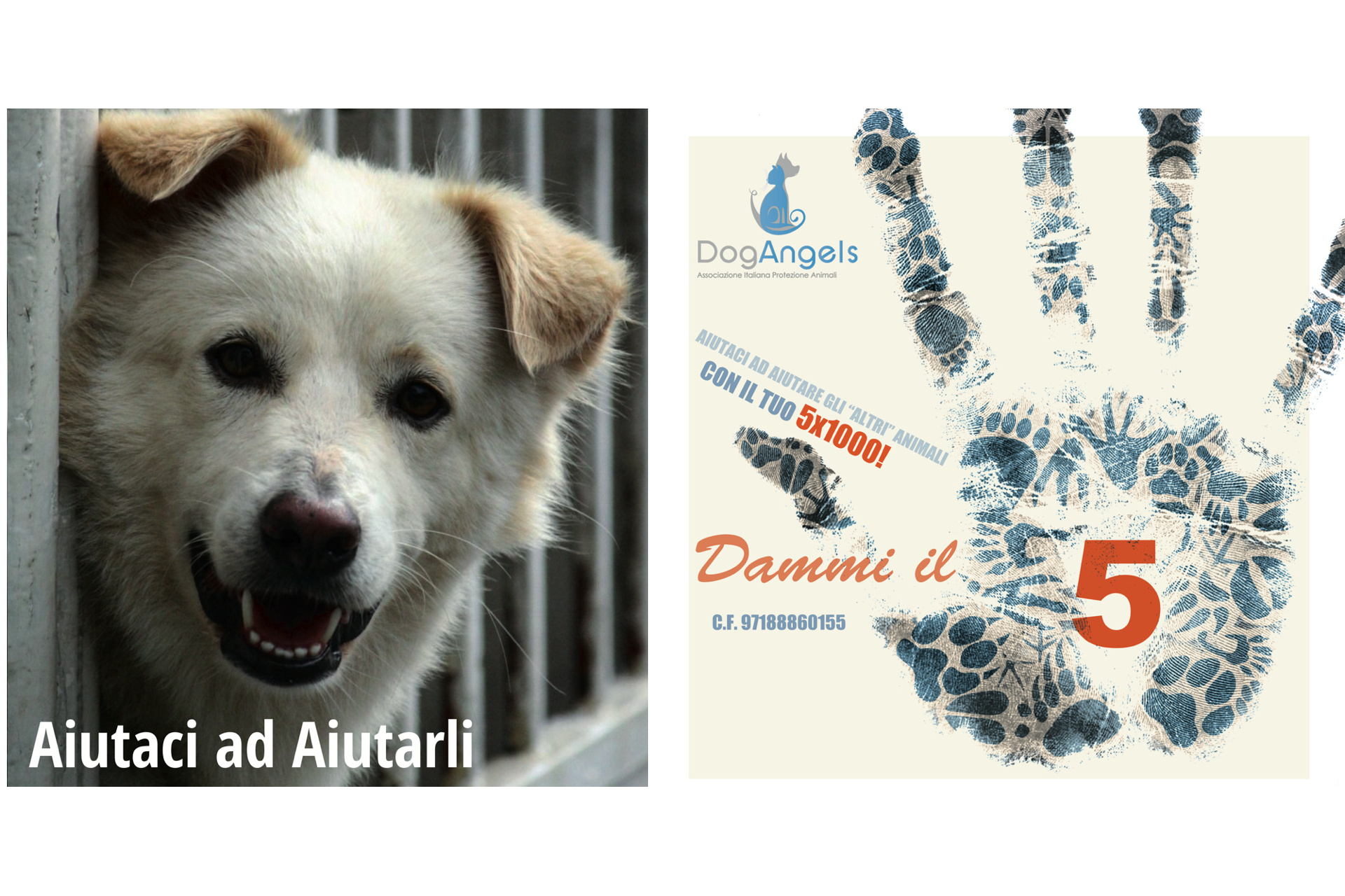 Tempo di dichiarazione dei redditi, 5 x 1000, perché non donarlo a un