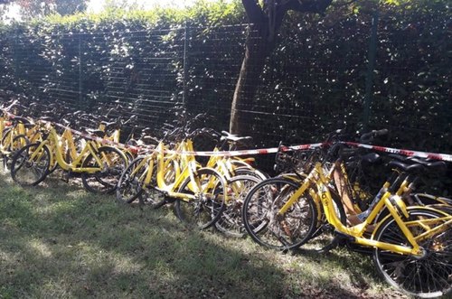 Alcune delle biciclette recuperate dalla polizia locale 