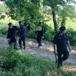 I carabinieri setacciano i campi in cerca della droga 