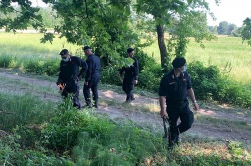 I carabinieri setacciano i campi in cerca della droga 