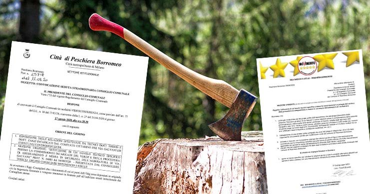 Abbattimento dei 240 alberi a Peschiera Borromeo, si vota in Consiglio comunale3 