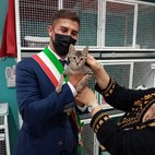 Il sindaco visita il nuovo gattile