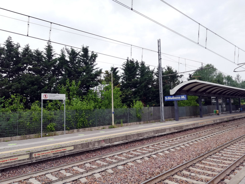 Gli esemplari che costeggiano la ferrovia 