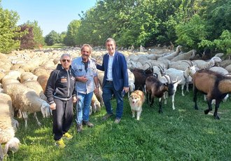 Il sindaco Checchi con il pastore e il suo gregge 