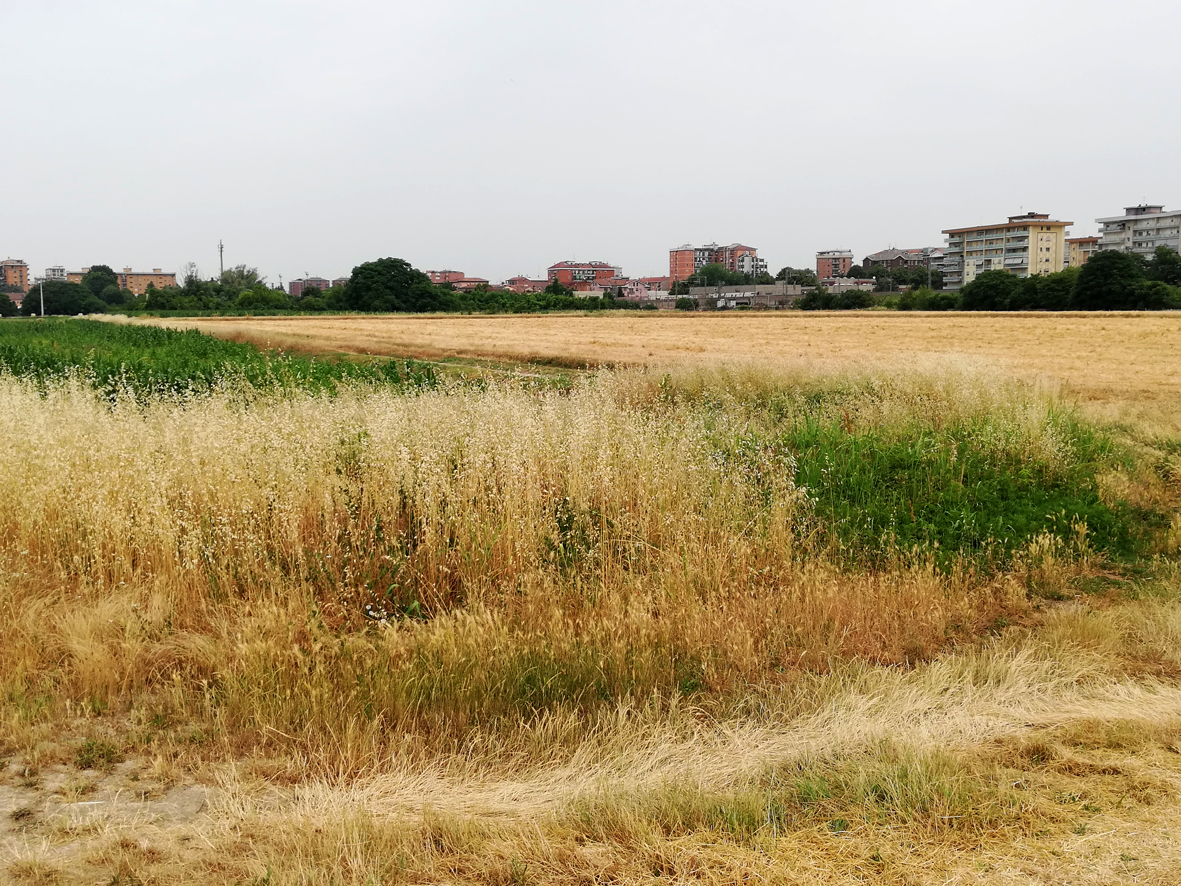 San Giuliano 