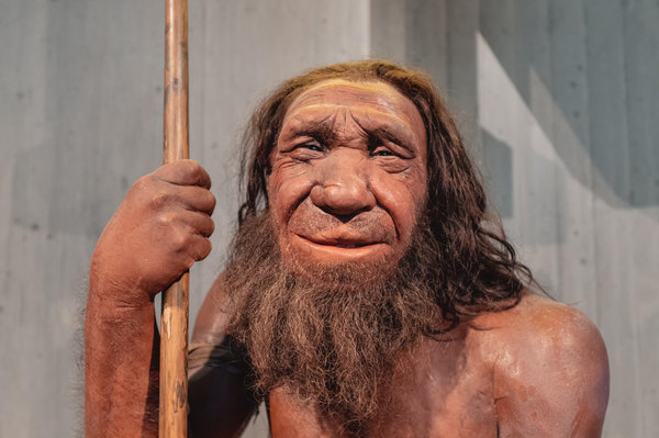 Neanderthal museum germany detailed wax figure of neanderthal prehistoric caveman
