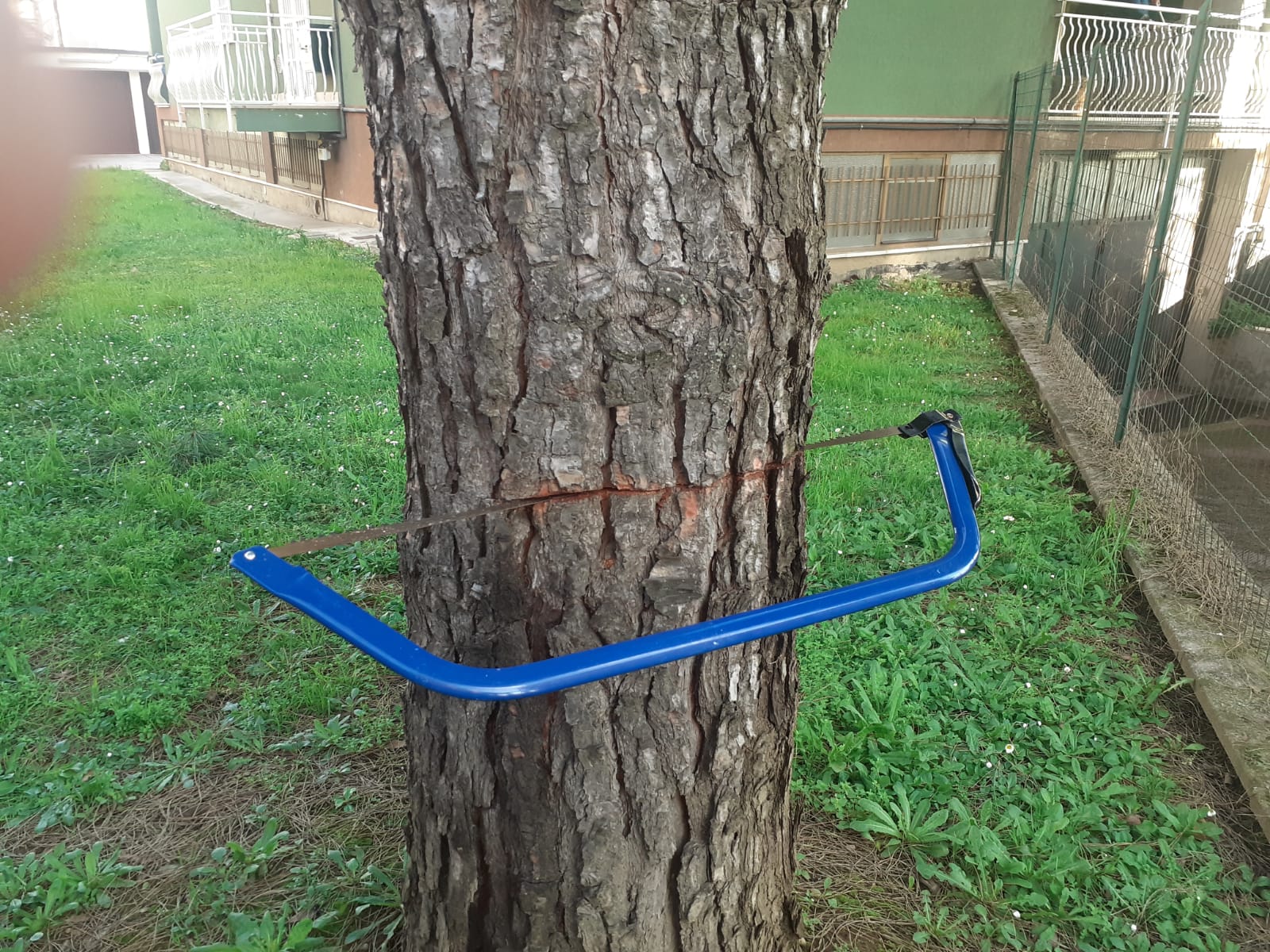 Intrusione notturna in un condominio di Robbiano di Mediglia