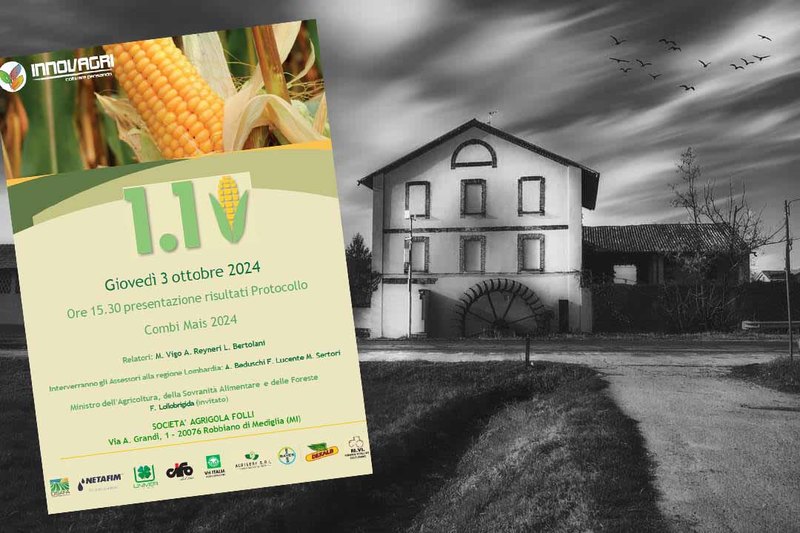 Sullo sfondo Cascina Robbiano sede della Società Agricola Folli 