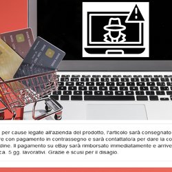 Il messaggio del venditore che annulla l'ordine 