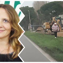 Vera Cocucci (Forza Italia) ha chiesto a Città Metropolitana di Milano di attivarsi 