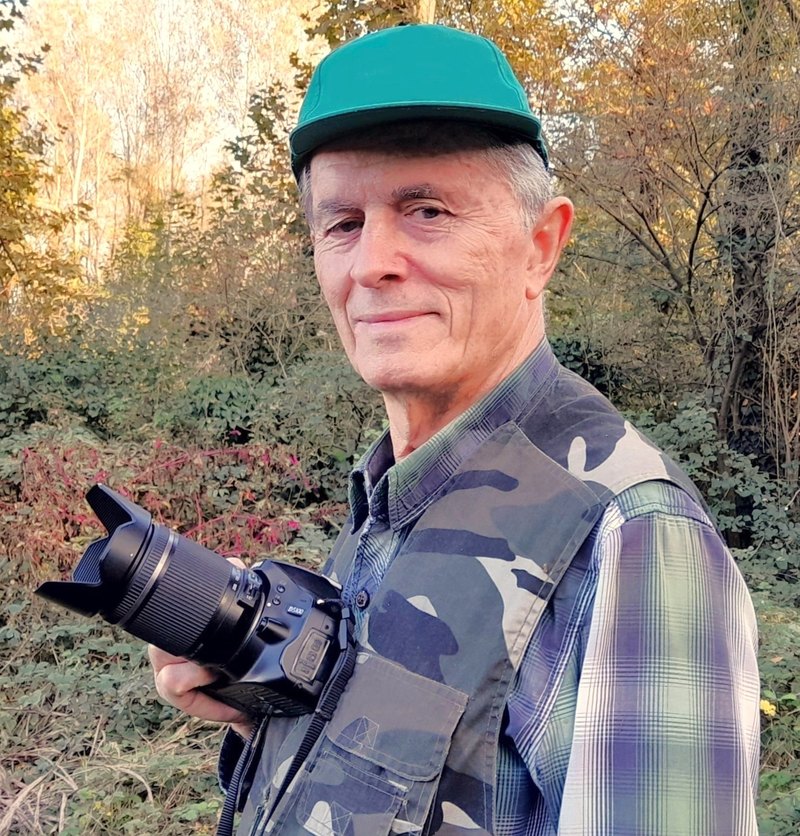 Walter Ferrari 