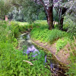 L'oasi Levadina 