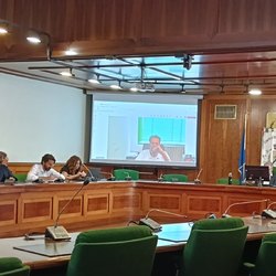 In Commssione l'intervento da remoto di Luca Tosi 
