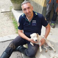L'agente Trotta con il cagnolino tratto in salvo 