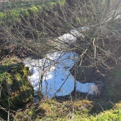 Lo sversamento nella Roggia Colturana 